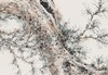 金喦 工笔花鸟01 136cmx68cm  8平尺 商品缩略图4