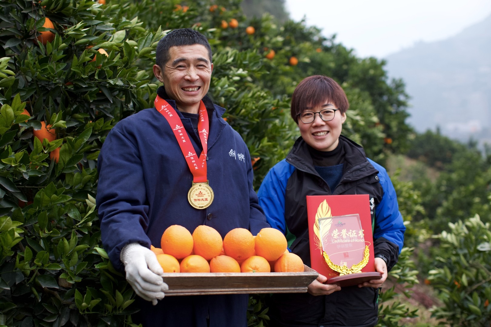野乡风物畅销九年 |  奉节脐橙元旦开园 |  勤勤恳恳种植的农家鲜果