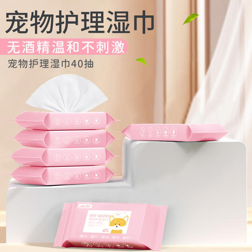 宝莱美露湿巾40抽 无酒精无刺激犬猫通用 商品图1