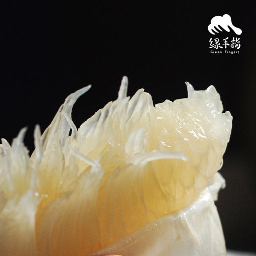 生态沙田柚 | 合作生产 *Ecological Shaddock 商品图3