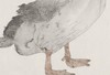 李军 |《Face To 2019（9）》纸本水墨 80cm×108cm 商品缩略图4