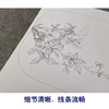【有步骤、大彩图】李晓明工笔画白描底稿小品《临宋争禽图 》麻雀白山茶初学者临摹花鸟线稿KL13 商品缩略图4