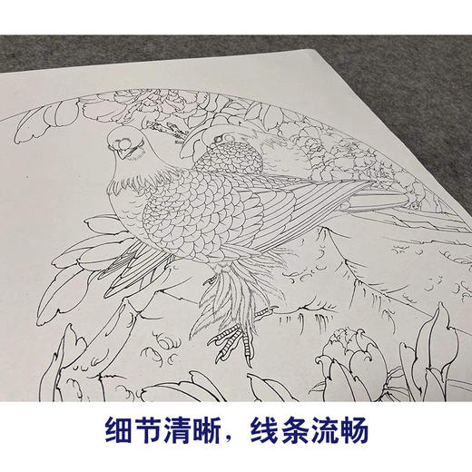 【有步骤、大彩图】李晓明工笔画白描底稿圆形小品《满园芳菲》牡丹鸽子初学者临摹花鸟线稿KL26 商品图4