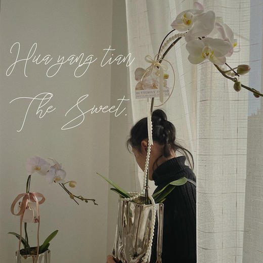 幸福飞来   蝴蝶兰 · 电镀瓶瓶花 商品图1