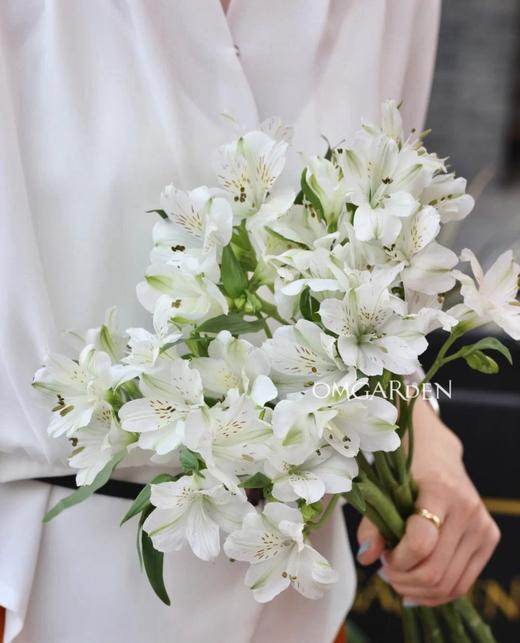 活动水仙百合 商品图4