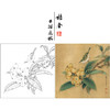 【有步骤、大彩图】李晓明工笔画白描底稿斗方小品《临宋枇杷绣羽图》初学者临摹花鸟线稿KL06 商品缩略图0