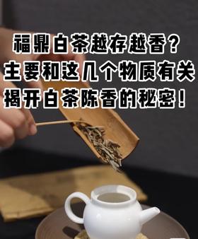 弘通禅茶丨福鼎白茶为何越存越香？和这几个物质有关