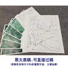 【有步骤、大彩图】李晓明工笔画白描底稿斗方小品《荷池清梦》荷花初学者临摹花鸟线稿K088 商品缩略图1
