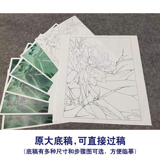 【有步骤、大彩图】李晓明工笔画白描底稿斗方小品《荷池清梦》荷花初学者临摹花鸟线稿K088 商品图1