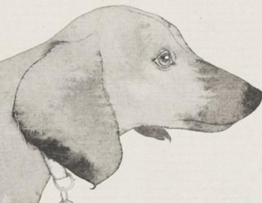 李军 |《兄弟 No.11》纸本水墨 160cm×60cm 商品图3