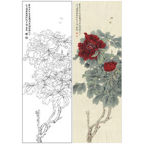 【有步骤、大彩图】李晓明工笔画白描底稿《临于非闇墨洒金》牡丹初学者临摹花鸟线稿KL19