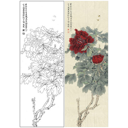 【有步骤、大彩图】李晓明工笔画白描底稿《临于非闇墨洒金》牡丹初学者临摹花鸟线稿KL19 商品图0