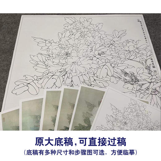 【有步骤、大彩图】李晓明工笔画白描底稿斗方小品《二乔白头》牡丹初学者临摹花鸟线稿KL21 商品图1