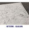 【有步骤、大彩图】李晓明工笔画白描底稿斗方小品《二乔白头》牡丹初学者临摹花鸟线稿KL21 商品缩略图4