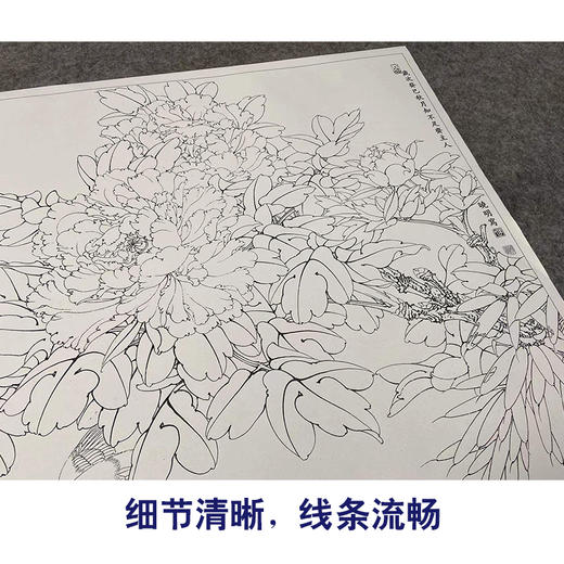 【有步骤、大彩图】李晓明工笔画白描底稿斗方小品《二乔白头》牡丹初学者临摹花鸟线稿KL21 商品图4