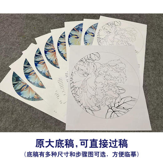 【有步骤、大彩图】李晓明工笔画白描底稿圆形小品《瑶池春》牡丹初学者临摹花鸟线稿KL16 商品图1