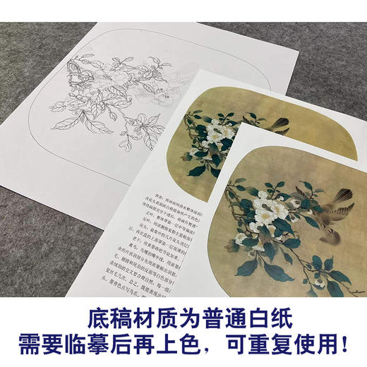 【有步骤、大彩图】李晓明工笔画白描底稿小品《临宋争禽图 》麻雀白山茶初学者临摹花鸟线稿KL13 商品图3