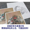 【有步骤、大彩图】李晓明工笔画白描底稿斗方小品《临宋花篮图页》山茶水仙梅花初学者临摹花鸟线稿KL04 商品缩略图3