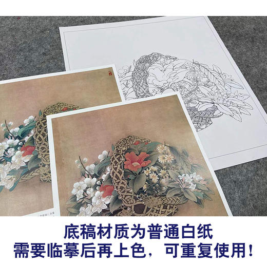 【有步骤、大彩图】李晓明工笔画白描底稿斗方小品《临宋花篮图页》山茶水仙梅花初学者临摹花鸟线稿KL04 商品图3