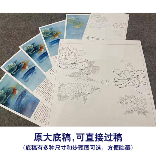 【有步骤、大彩图】李晓明工笔画白描底稿斗方小品《睡莲金龙鱼》荷花初学者临摹花鸟线稿KL22 商品图1