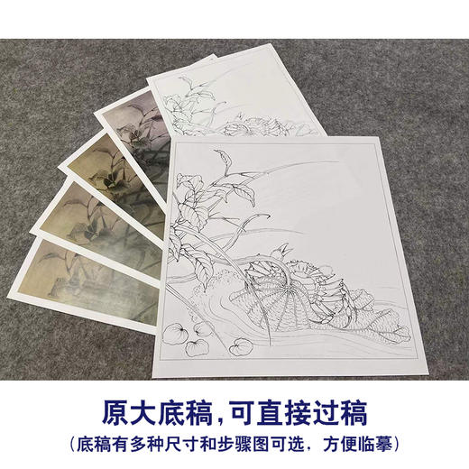 【有步骤、大彩图】李晓明工笔画白描底稿斗方小品《临宋荷蟹图》荷花螃蟹初学者临摹花鸟线稿KL03 商品图1