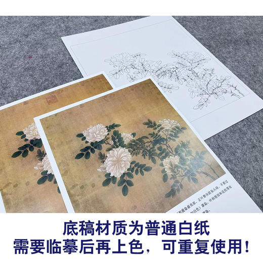 【有步骤、大彩图】李晓明工笔画白描底稿斗方小品《白蔷薇图》初学者临摹花鸟线稿KL02 商品图3