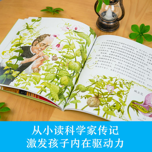 "明灯"科学家绘本丛书(1-10)  商品图2