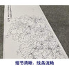 【有步骤、大彩图】李晓明工笔画白描底稿《临于非闇墨洒金》牡丹初学者临摹花鸟线稿KL19 商品缩略图4