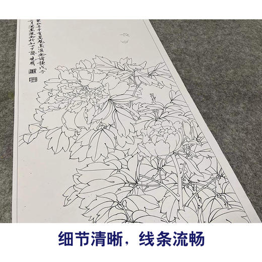 【有步骤、大彩图】李晓明工笔画白描底稿《临于非闇墨洒金》牡丹初学者临摹花鸟线稿KL19 商品图4