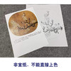 【有步骤、大彩图】李晓明工笔画白描底稿小品《杏花图》初学者临摹花鸟线稿KL11 商品缩略图2