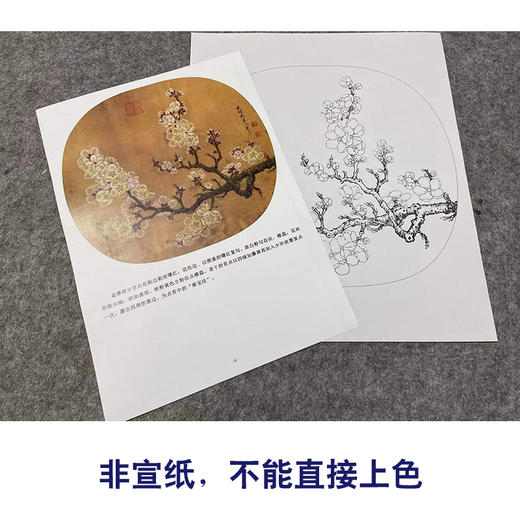 【有步骤、大彩图】李晓明工笔画白描底稿小品《杏花图》初学者临摹花鸟线稿KL11 商品图2