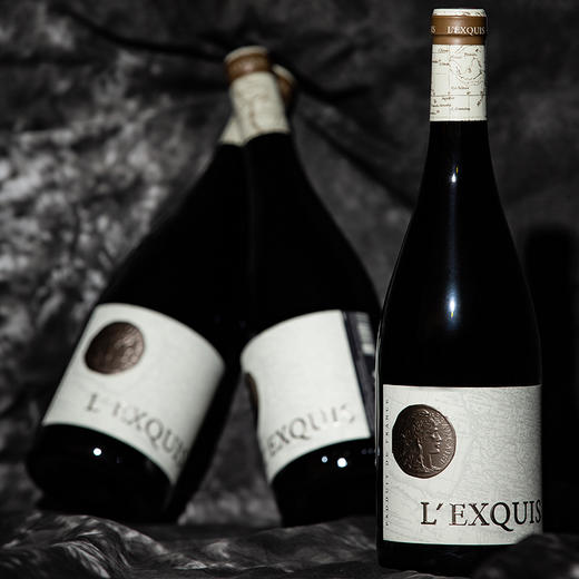 法国原瓶进口 14.5度红酒 卓美 干红 超重勃艮第瓶开门红双支礼盒装750ml*2 商品图2