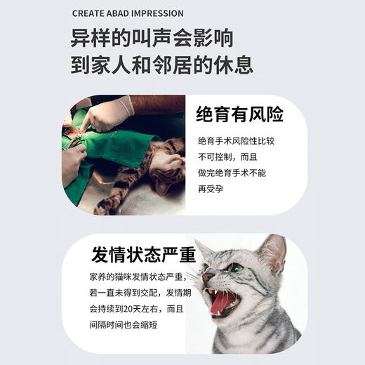 PetsBenz-猫咪禁情液-50ml公猫母猫专用 用于缓解猫咪发情，厌食，焦躁。 商品图2