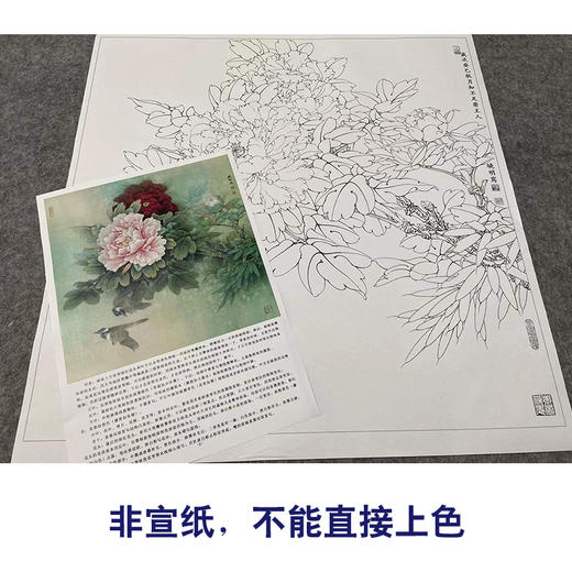 【有步骤、大彩图】李晓明工笔画白描底稿斗方小品《二乔白头》牡丹初学者临摹花鸟线稿KL21 商品图2