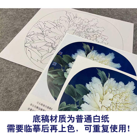 【有步骤、大彩图】李晓明工笔画白描底稿小品《烟笼翠》牡丹初学者临摹花鸟线稿KL17 商品图3