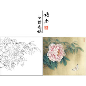 【有步骤、大彩图】李晓明工笔画白描底稿斗方小品《芙蓉面》牡丹初学者临摹勾线花鸟线稿K026