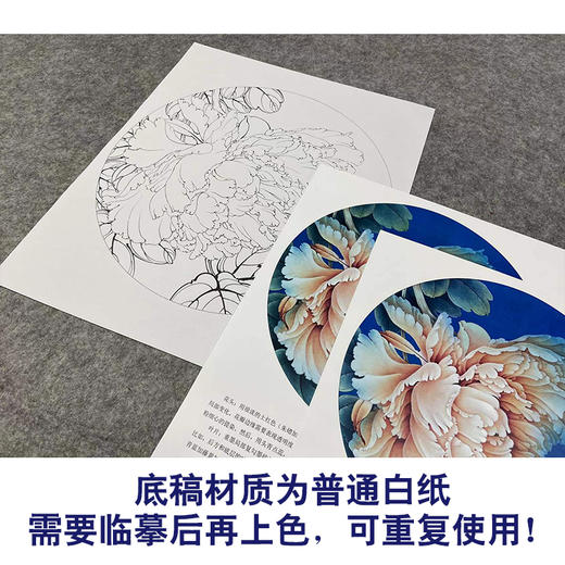 【有步骤、大彩图】李晓明工笔画白描底稿圆形小品《瑶池春》牡丹初学者临摹花鸟线稿KL16 商品图3