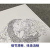 【有步骤、大彩图】李晓明工笔画白描底稿斗方小品《临宋花篮图页》山茶水仙梅花初学者临摹花鸟线稿KL04 商品缩略图4