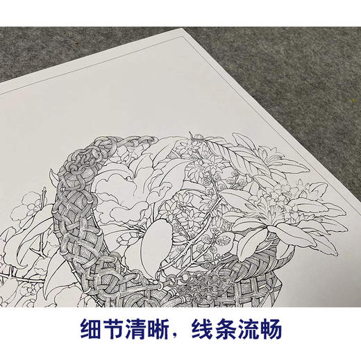 【有步骤、大彩图】李晓明工笔画白描底稿斗方小品《临宋花篮图页》山茶水仙梅花初学者临摹花鸟线稿KL04 商品图4