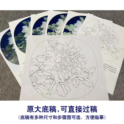 【有步骤、大彩图】李晓明工笔画白描底稿小品《烟笼翠》牡丹初学者临摹花鸟线稿KL17 商品图1