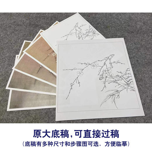 【有步骤、大彩图】李晓明工笔画白描稿斗方小品《临宋梅竹图页》梅花竹子初学者临摹花鸟线稿KL07 商品图1
