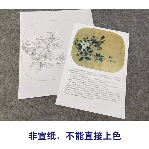 【有步骤、大彩图】李晓明工笔画白描底稿小品《临宋争禽图 》麻雀白山茶初学者临摹花鸟线稿KL13 商品图2
