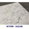 【有步骤、大彩图】李晓明工笔画白描底稿斗方小品《牡丹灰文鸟》初学者临摹花鸟线稿KL20 商品缩略图4