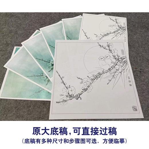 【有步骤、大彩图】李晓明工笔画白描底稿斗方小品《梅竹文鸟图》梅花初学者临摹花鸟线稿KL23 商品图1