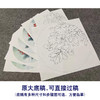 【有步骤、大彩图】李晓明工笔画白描底稿圆形小品《金背大红》牡丹初学者临摹花鸟线稿KA02 商品缩略图1