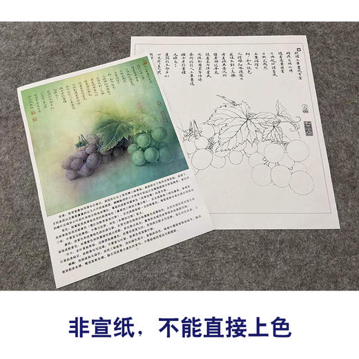 【有步骤、大彩图】李晓明工笔画白描底稿斗方小品《葡萄螽斯图》葡萄初学者临摹勾线花鸟线稿KA11 商品图2