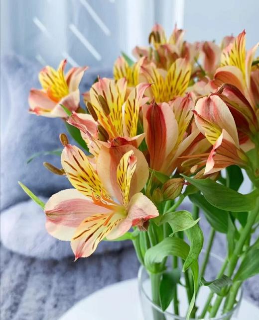 活动水仙百合 商品图3