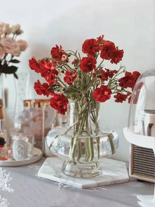 活动蝴蝶洋牡丹 商品图0