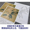 【有步骤、大彩图】李晓明工笔画白描底稿斗方小品《临宋枇杷绣羽图》初学者临摹花鸟线稿KL06 商品缩略图3