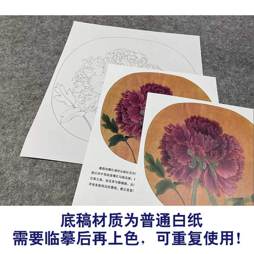 【有步骤、大彩图】李晓明工笔画白描底稿圆形小品《临宋品字牡丹图》牡丹初学者临摹花鸟线稿KL08 商品图3